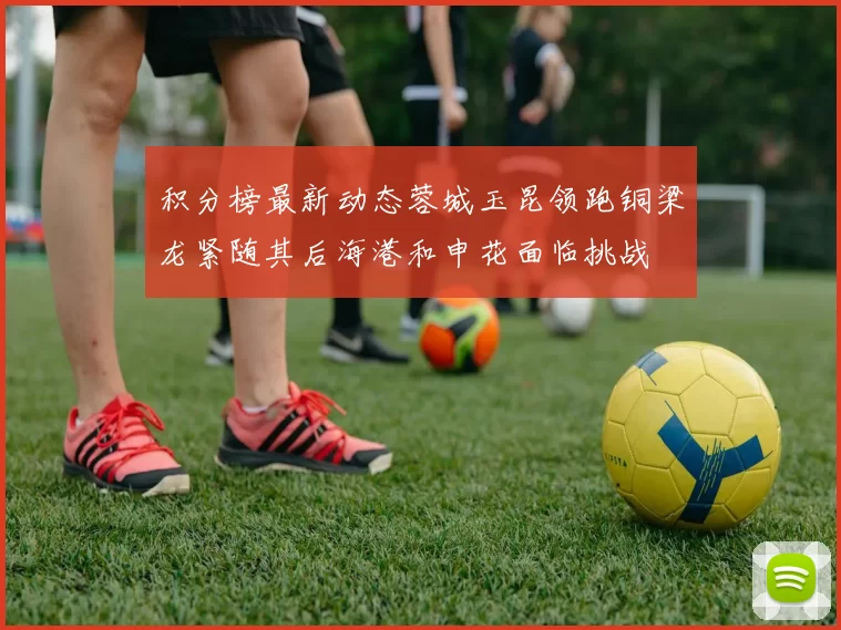 积分榜最新动态蓉城玉昆领跑铜梁龙紧随其后海港和申花面临挑战