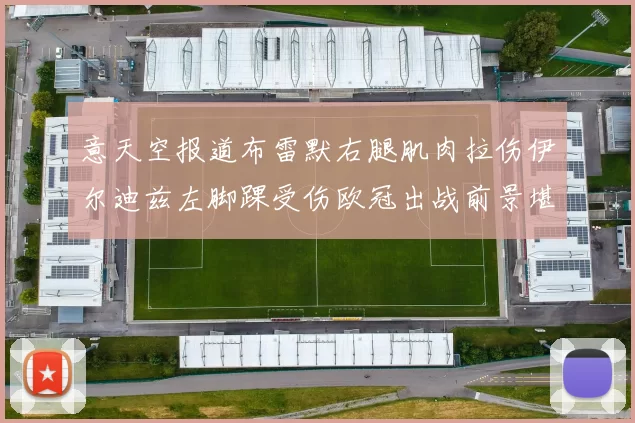 意天空报道布雷默右腿肌肉拉伤伊尔迪兹左脚踝受伤欧冠出战前景堪忧